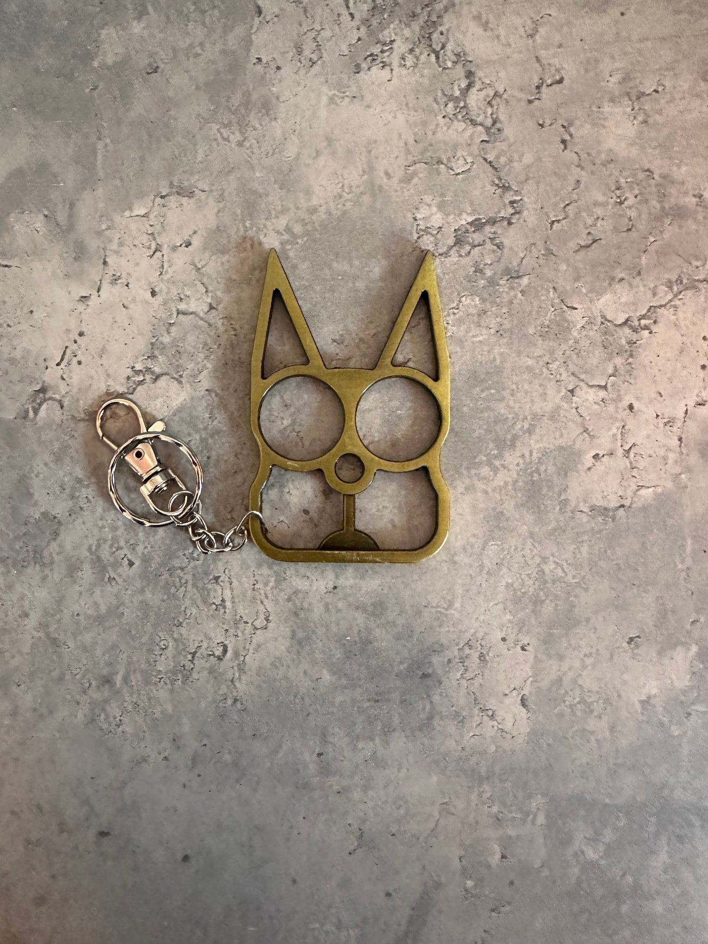 Safe kitty