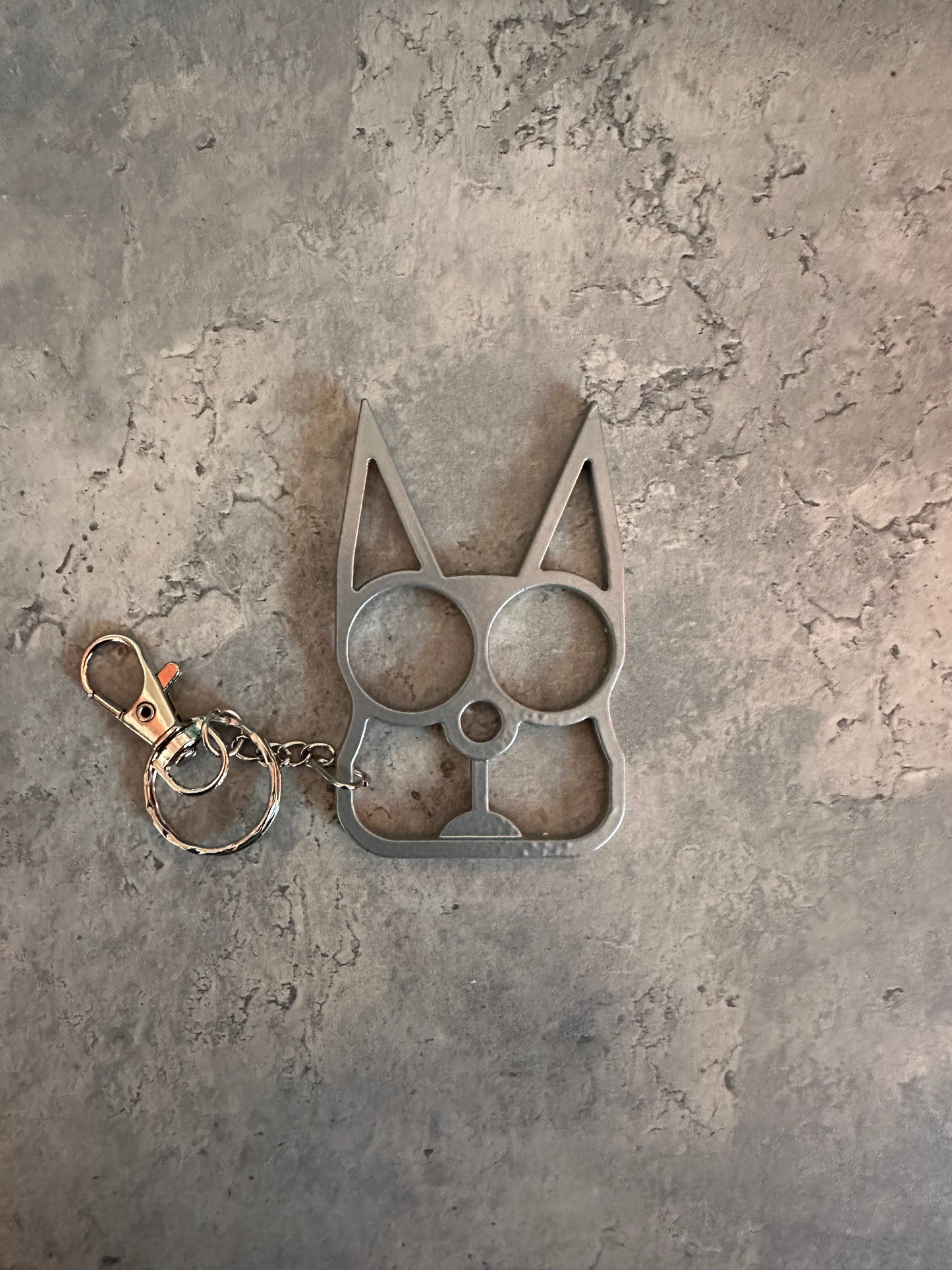 Safe kitty